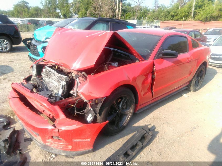 2013 FORD MUSTANG - 1ZVBP8AMXD5235144