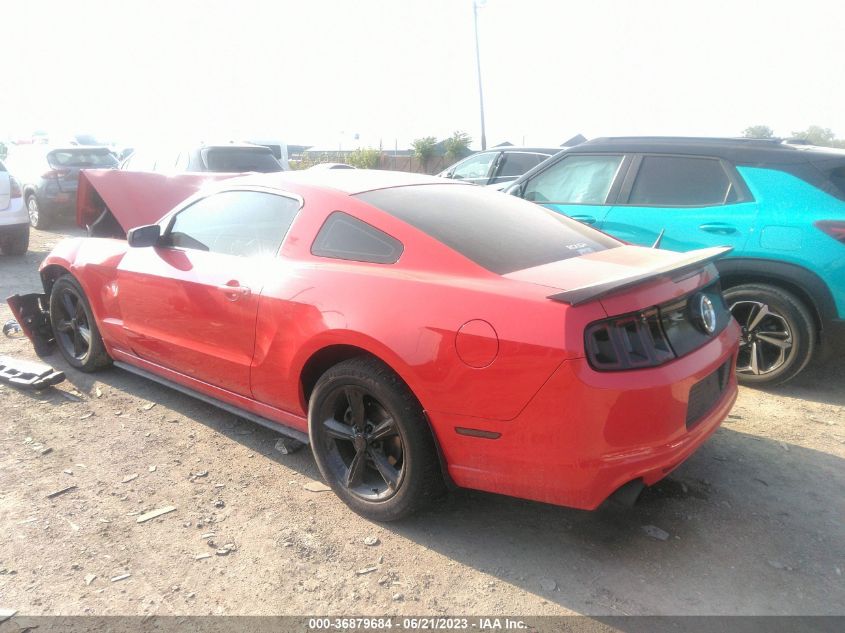 2013 FORD MUSTANG - 1ZVBP8AMXD5235144