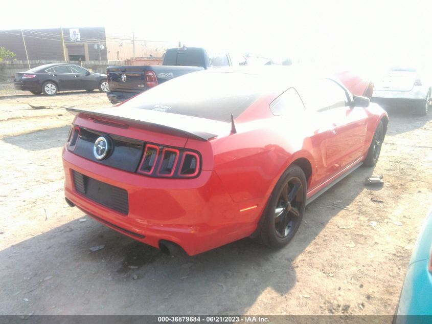 2013 FORD MUSTANG - 1ZVBP8AMXD5235144