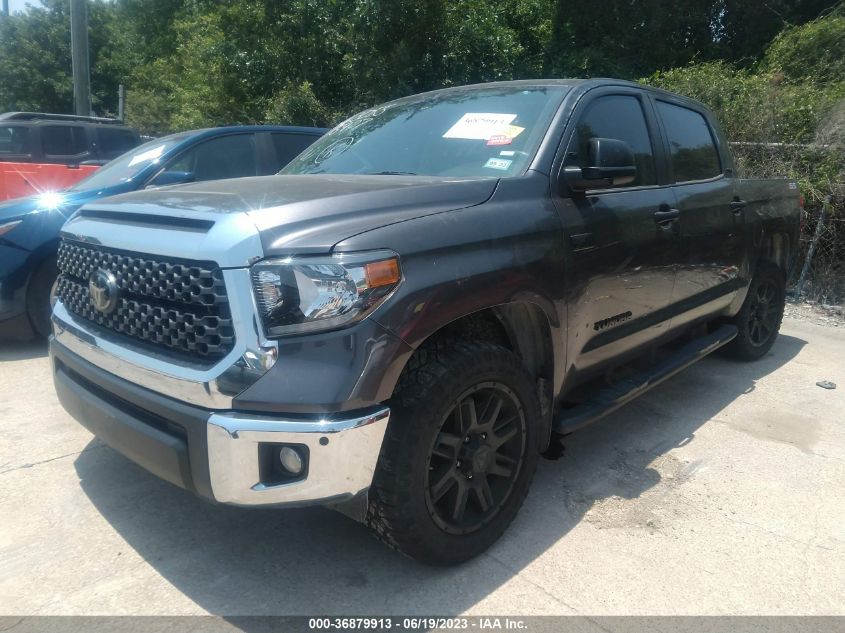 2021 TOYOTA TUNDRA 2WD SR5 - 5TFEY5F16MX295131