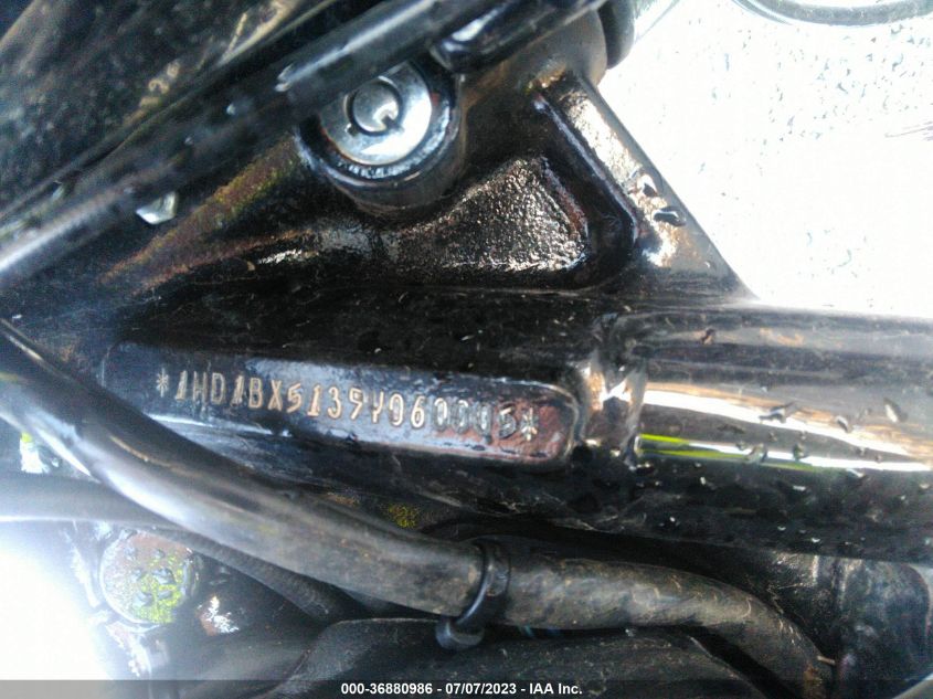 2009 HARLEY-DAVIDSON FLSTF 1HD1BX5139Y060005