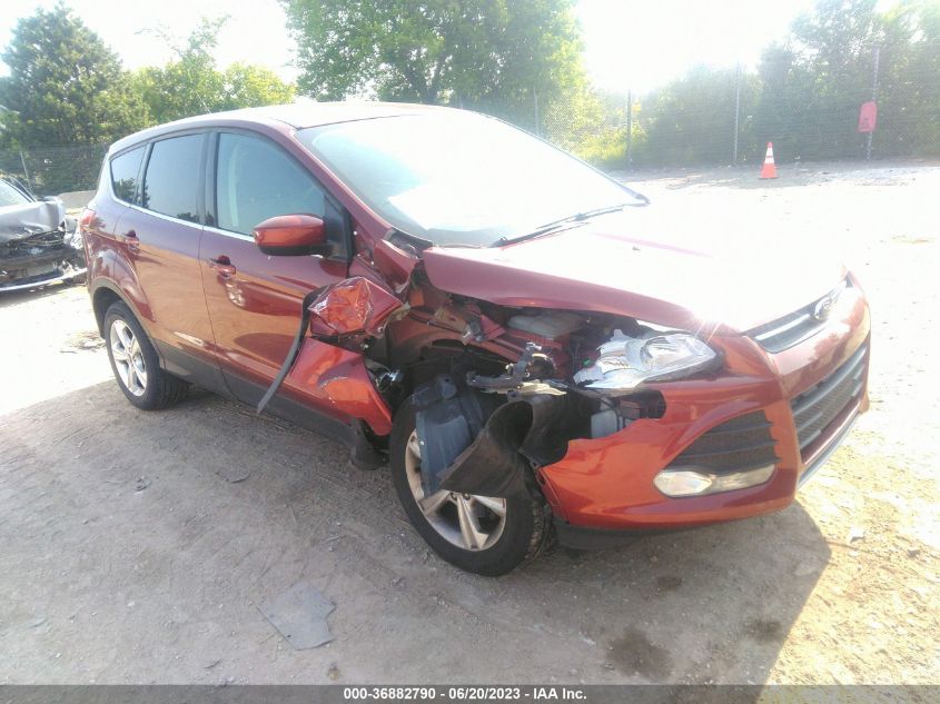 2014 FORD ESCAPE SE - 1FMCU0GX9EUA98588