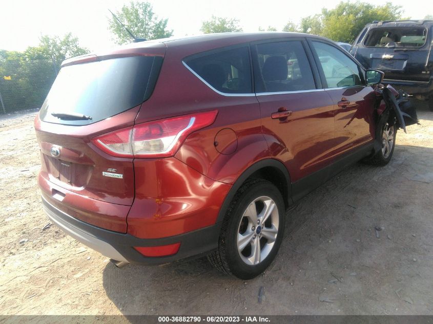 2014 FORD ESCAPE SE - 1FMCU0GX9EUA98588