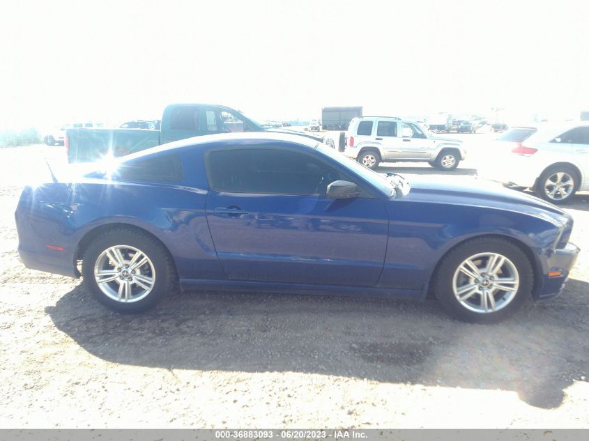 1ZVBP8AMXE5323628 2014 FORD MUSTANG, photo no. 13