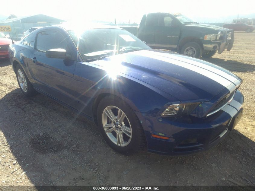 1ZVBP8AMXE5323628 2014 FORD MUSTANG - Image 1