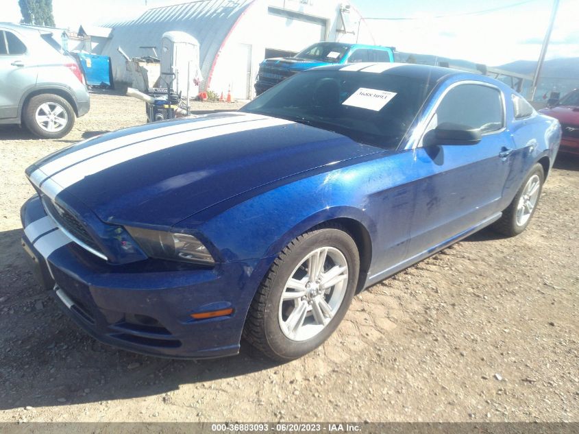 1ZVBP8AMXE5323628 2014 FORD MUSTANG, photo no. 2