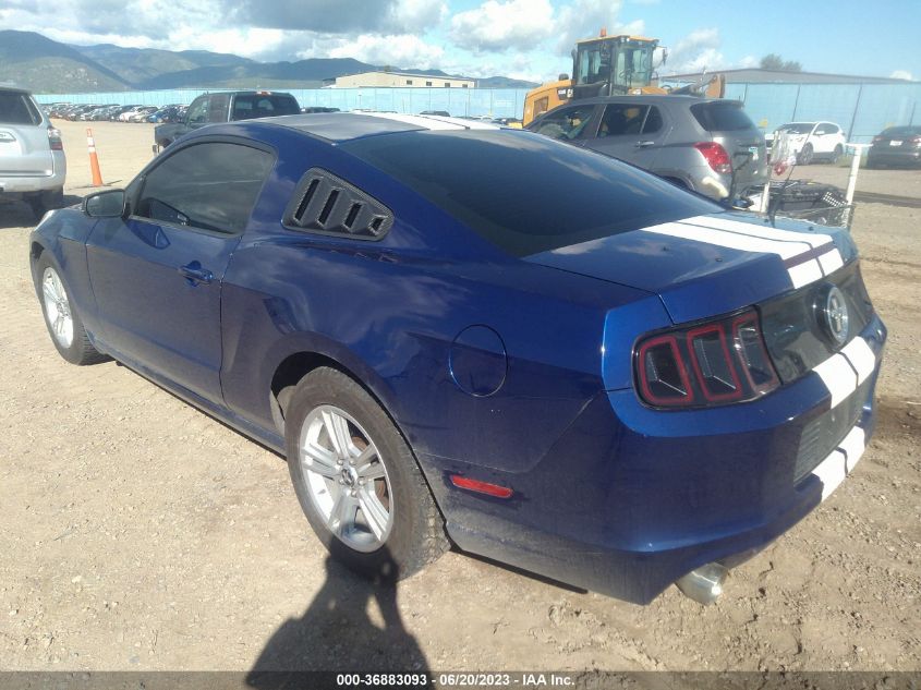 1ZVBP8AMXE5323628 2014 FORD MUSTANG, photo no. 3