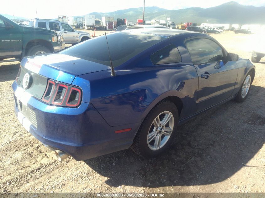 1ZVBP8AMXE5323628 2014 FORD MUSTANG, photo no. 4