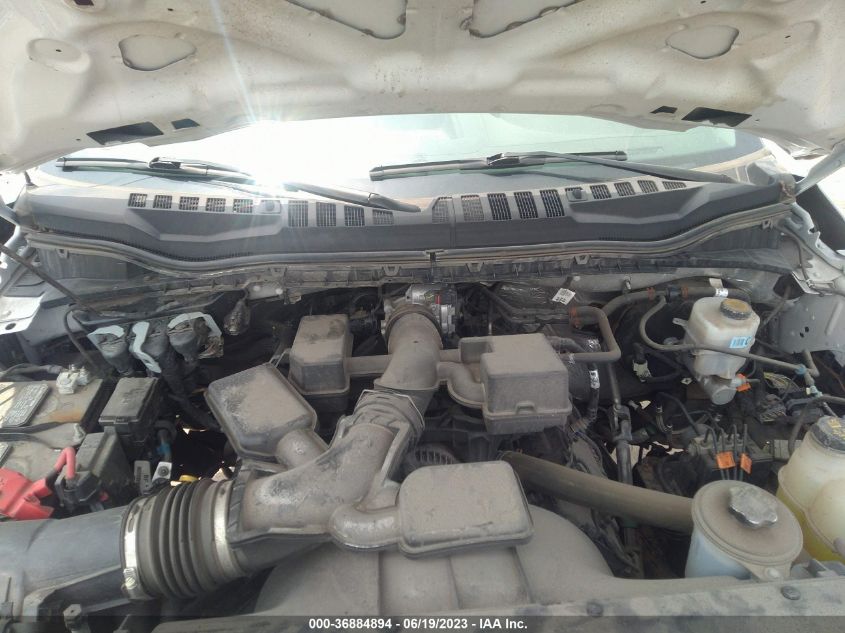 2021 FORD SUPER DUTY F-250 SRW XL/XLT - 1FTBF2B63MEC18737