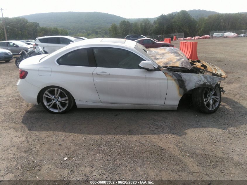 2015 BMW 2 SERIES 228I XDRIVE - WBA1F7C51FVX95507