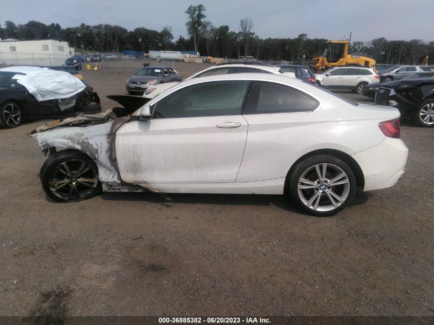 2015 BMW 2 SERIES 228I XDRIVE - WBA1F7C51FVX95507