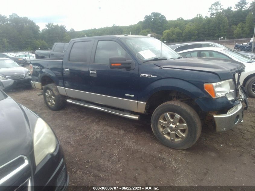 2013 FORD F-150 XL/XLT/FX4/LARIAT - 1FTFW1ET3DKE26230