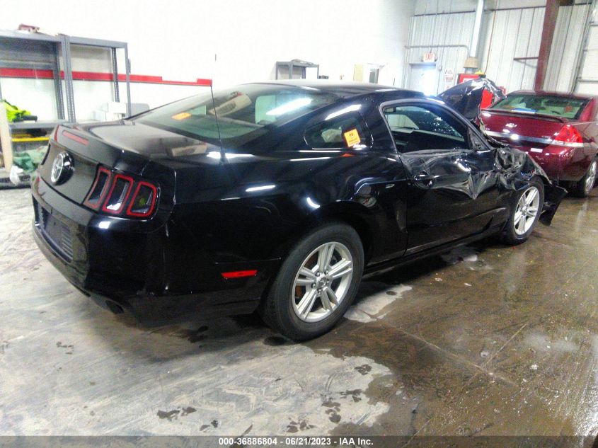 2014 FORD MUSTANG V6 - 1ZVBP8AM8E5252283