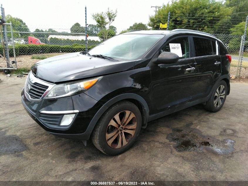 2013 KIA SPORTAGE EX - KNDPC3A25D7515273