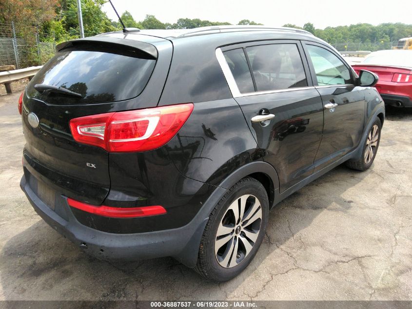 2013 KIA SPORTAGE EX - KNDPC3A25D7515273