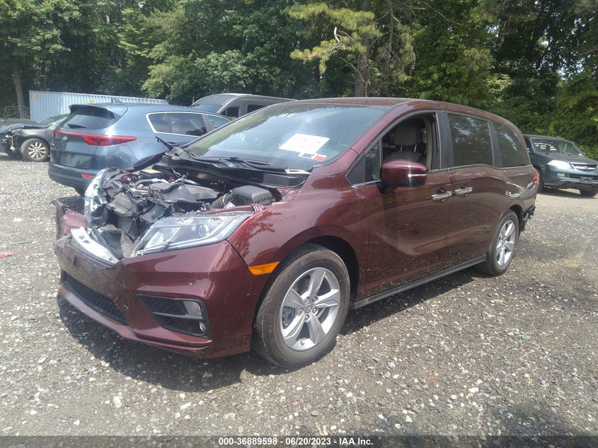VIN 5FNRL6H76KB065636 2019 HONDA ODYSSEY EX-L