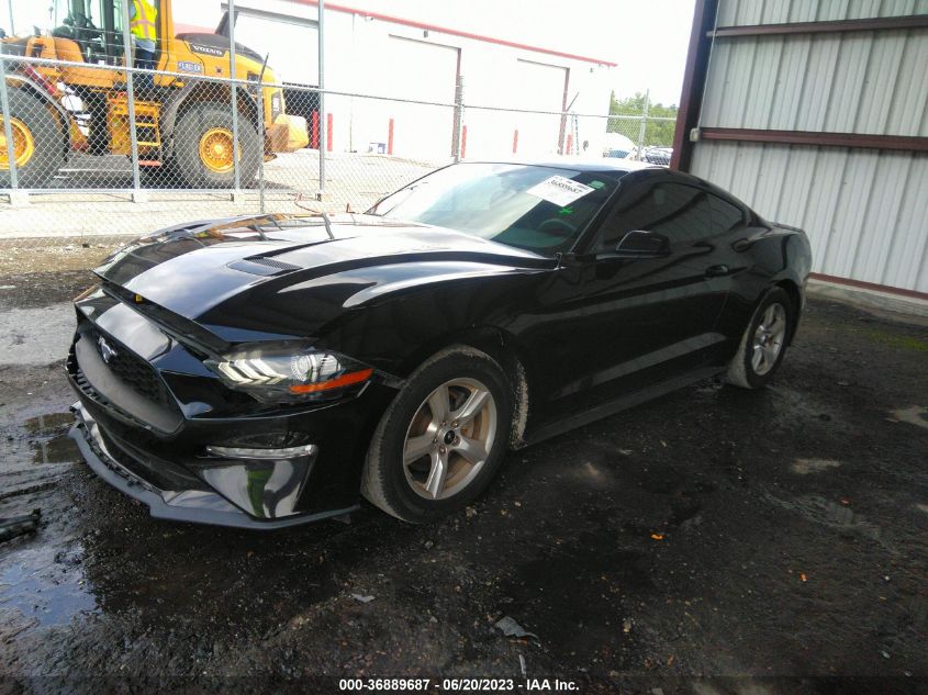 2019 FORD MUSTANG - 1FA6P8TH4K5130199