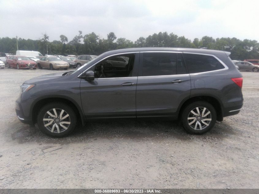 2022 HONDA PILOT EX-L - 5FNYF6H51NB009724