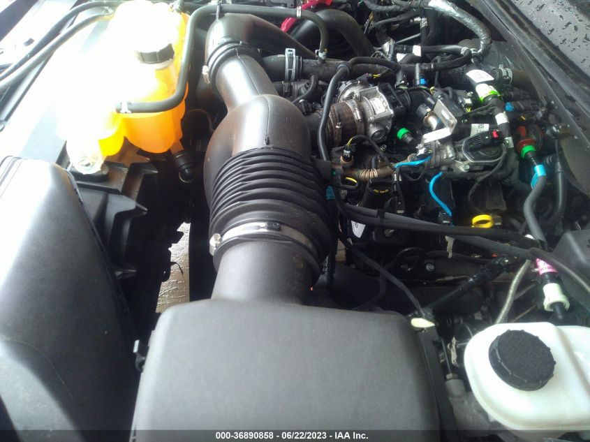 2019 FORD F-150 XL/XLT/LARIAT - 1FTEW1EP1KKF21056