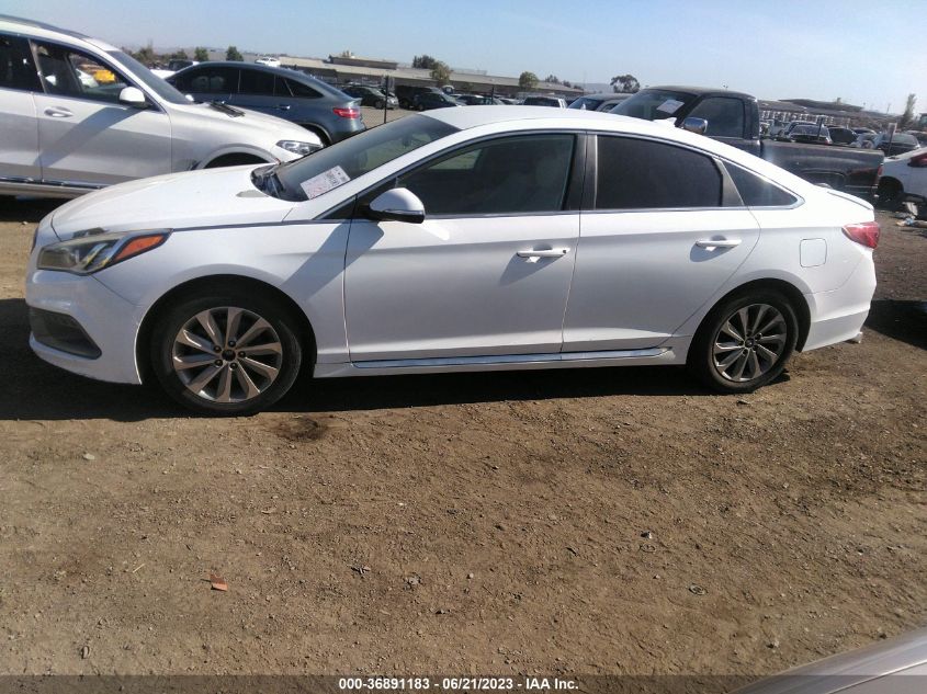 2017 HYUNDAI SONATA SPORT/LIMITED - 5NPE34AF7HH549989