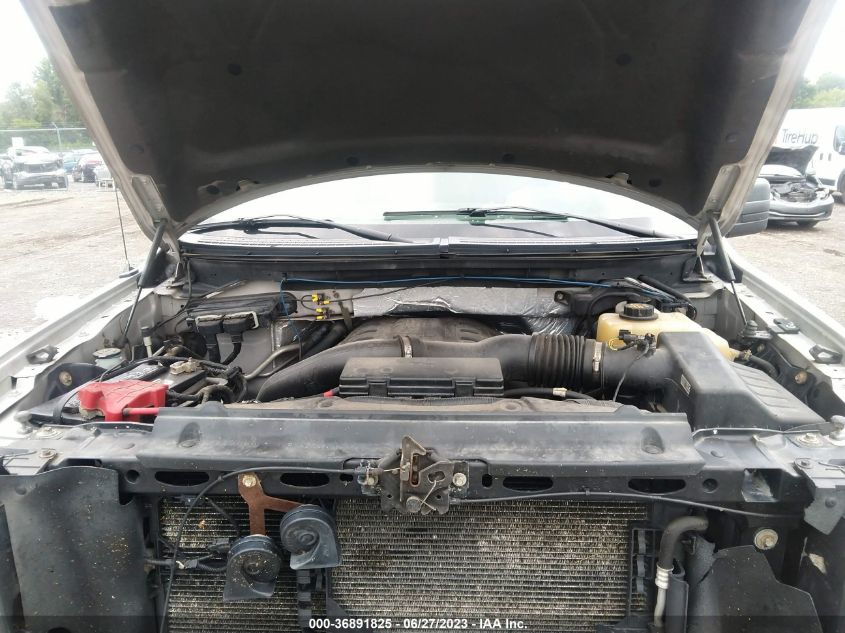 2013 FORD F-150 XL/XLT/FX4/LARIAT - 1FTFW1ET5DFA20717