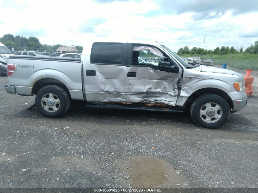 2013 FORD F-150 XL/XLT/FX4/LARIAT - 1FTFW1ET5DFA20717
