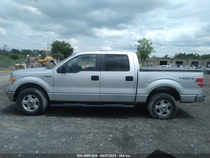 2013 FORD F-150 XL/XLT/FX4/LARIAT - 1FTFW1ET5DFA20717