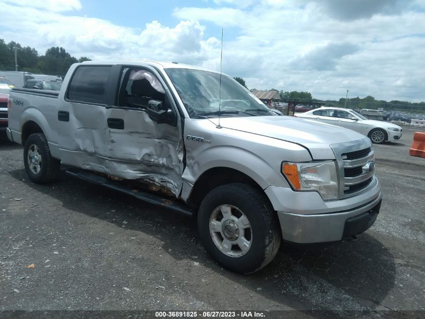 2013 FORD F-150 XL/XLT/FX4/LARIAT - 1FTFW1ET5DFA20717