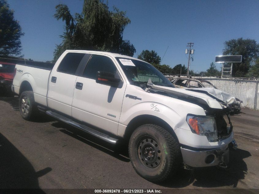 2014 FORD F-150 XL/XLT/FX4/LARIAT - 1FTFW1ET3EFB99521