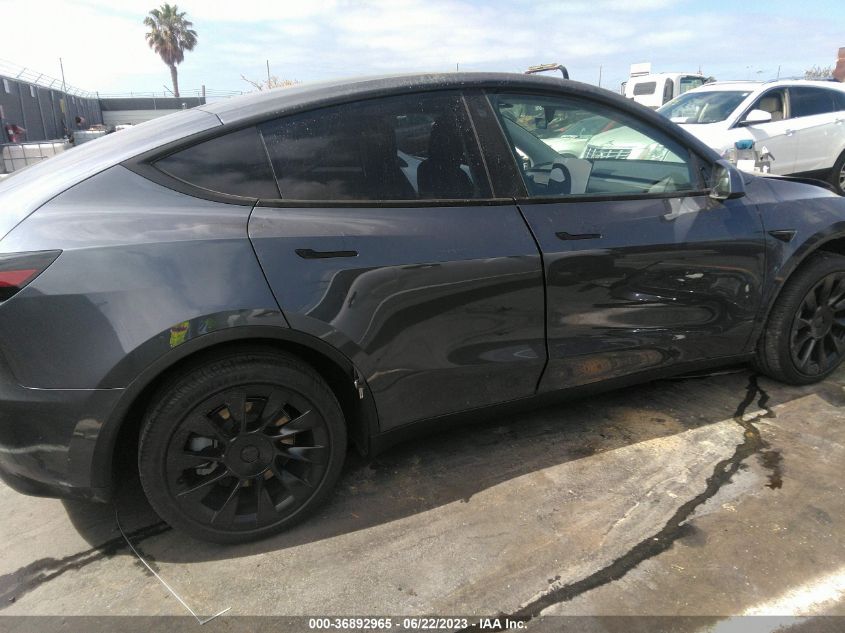 2021 TESLA MODEL Y - 5YJYGDEE1MF141113