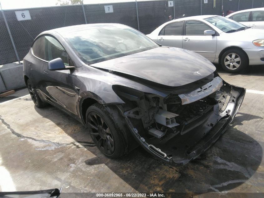 2021 TESLA MODEL Y - 5YJYGDEE1MF141113