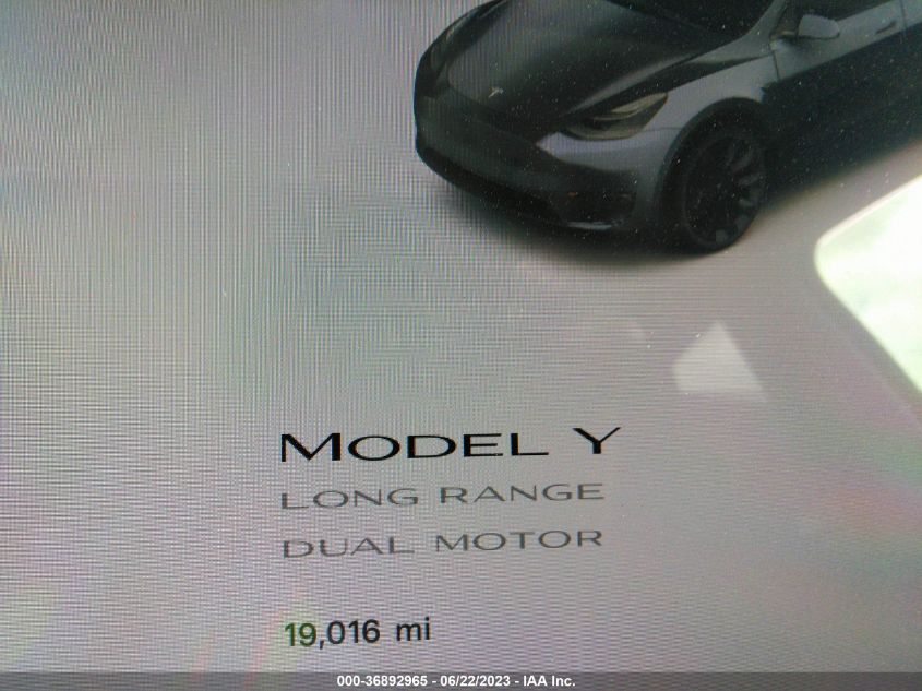 2021 TESLA MODEL Y - 5YJYGDEE1MF141113