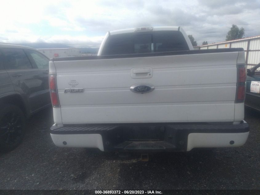 2013 FORD F-150 XL/XLT/FX4/LARIAT - 1FTFW1ET1DKE73661