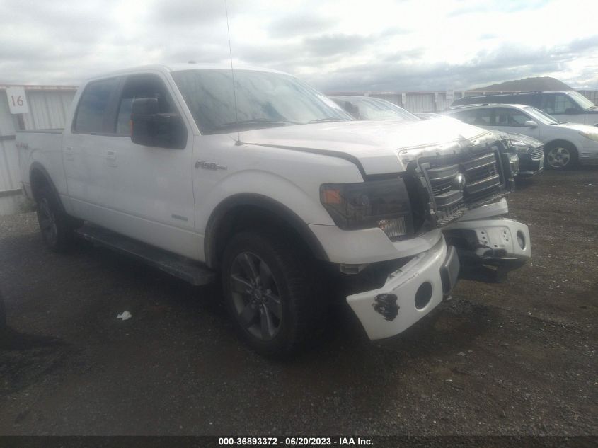 2013 FORD F-150 XL/XLT/FX4/LARIAT - 1FTFW1ET1DKE73661