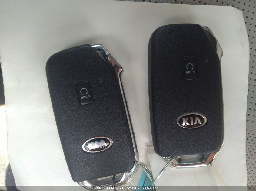 2021 KIA TELLURIDE EX - 5XYP3DHC2MG176964