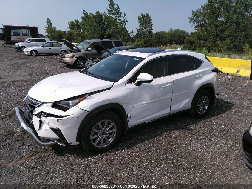 2021 LEXUS NX NX 300 - JTJDARDZ9M5021415