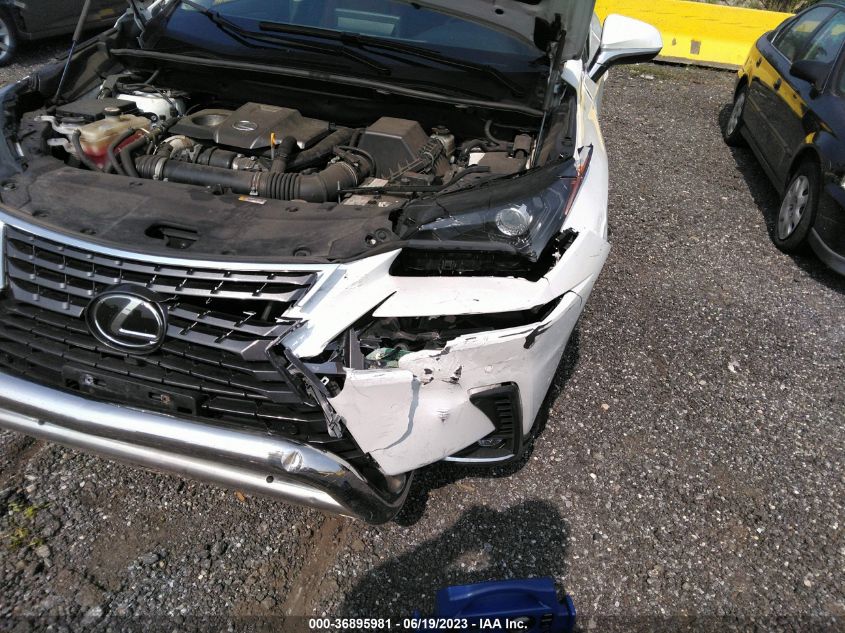 2021 LEXUS NX NX 300 - JTJDARDZ9M5021415