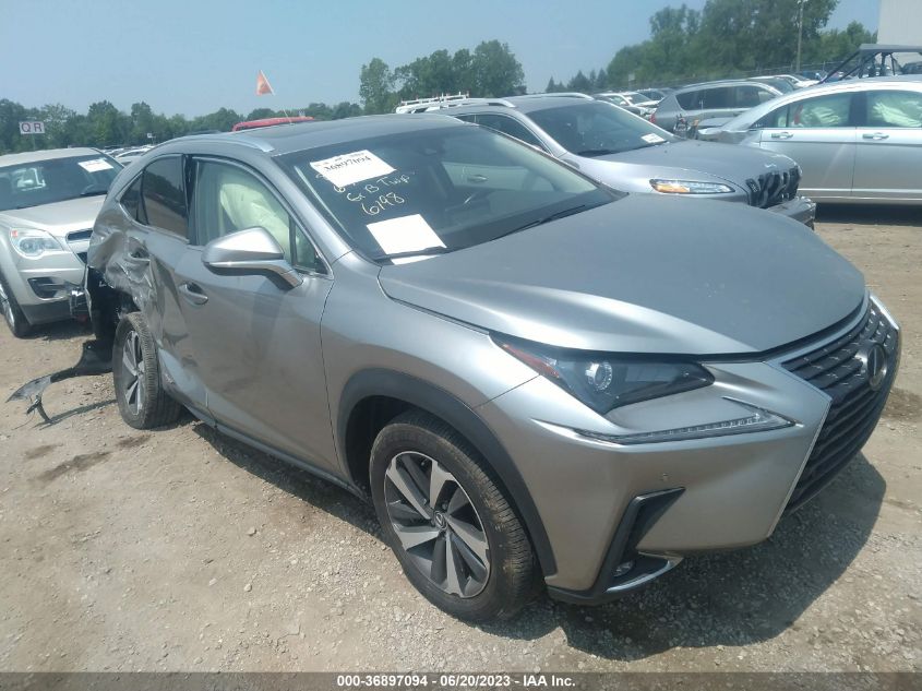 JTJBJRBZ8K2116198 LEXUS NX NX 300H 2019