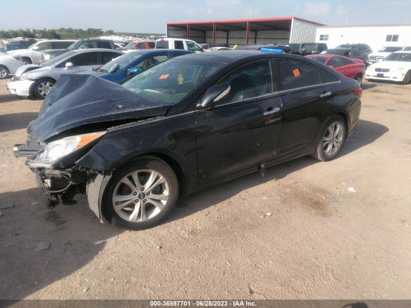 2013 HYUNDAI SONATA LIMITED - 5NPEC4ACXDH675831