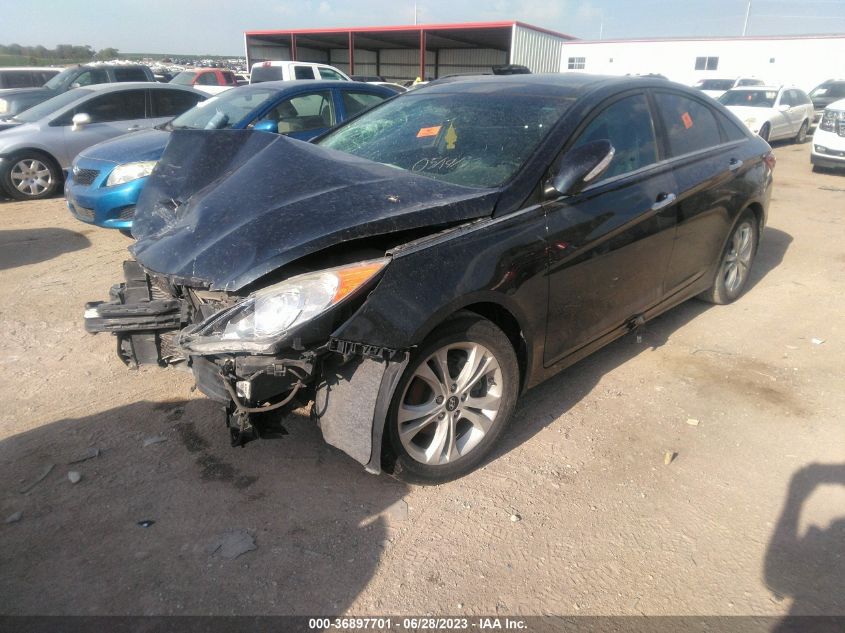 2013 HYUNDAI SONATA LIMITED - 5NPEC4ACXDH675831