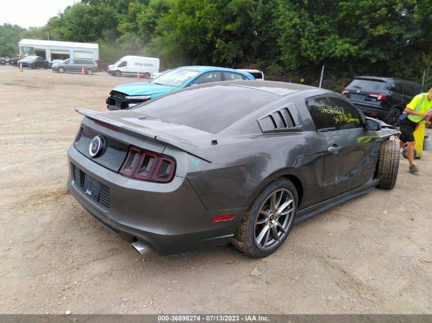 2013 FORD MUSTANG - 1ZVBP8AM5D5267810