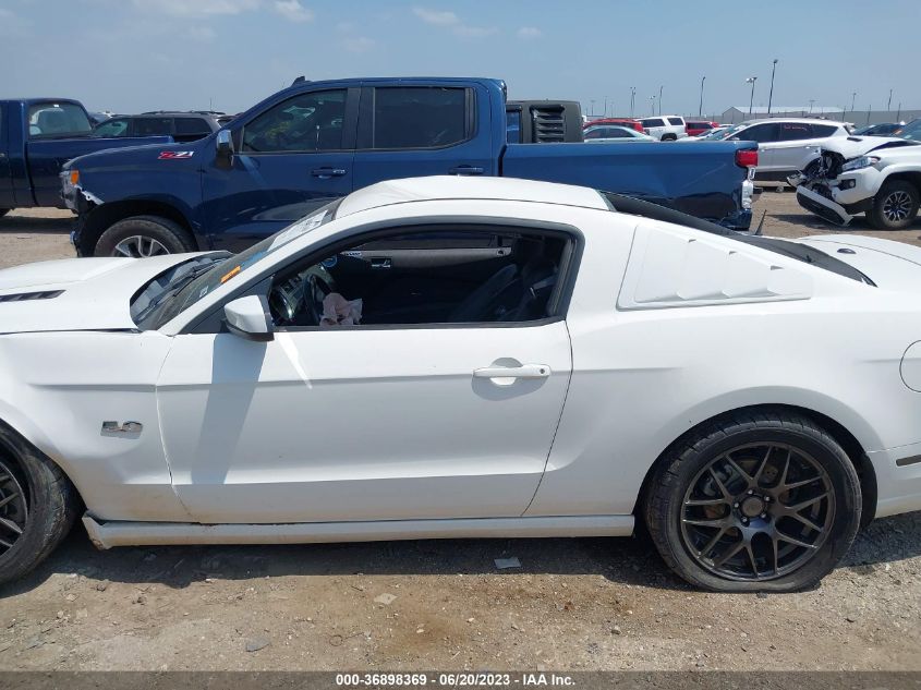 2013 FORD MUSTANG GT - 1ZVBP8CF5D5242825