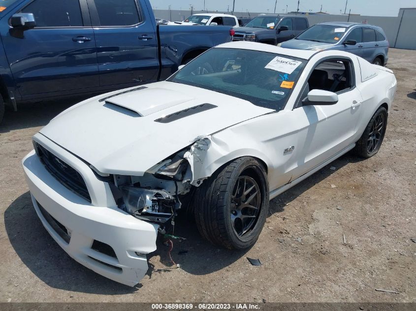 2013 FORD MUSTANG GT - 1ZVBP8CF5D5242825