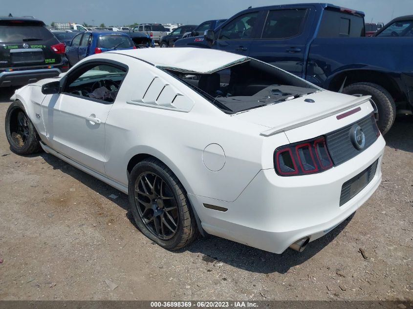 2013 FORD MUSTANG GT - 1ZVBP8CF5D5242825