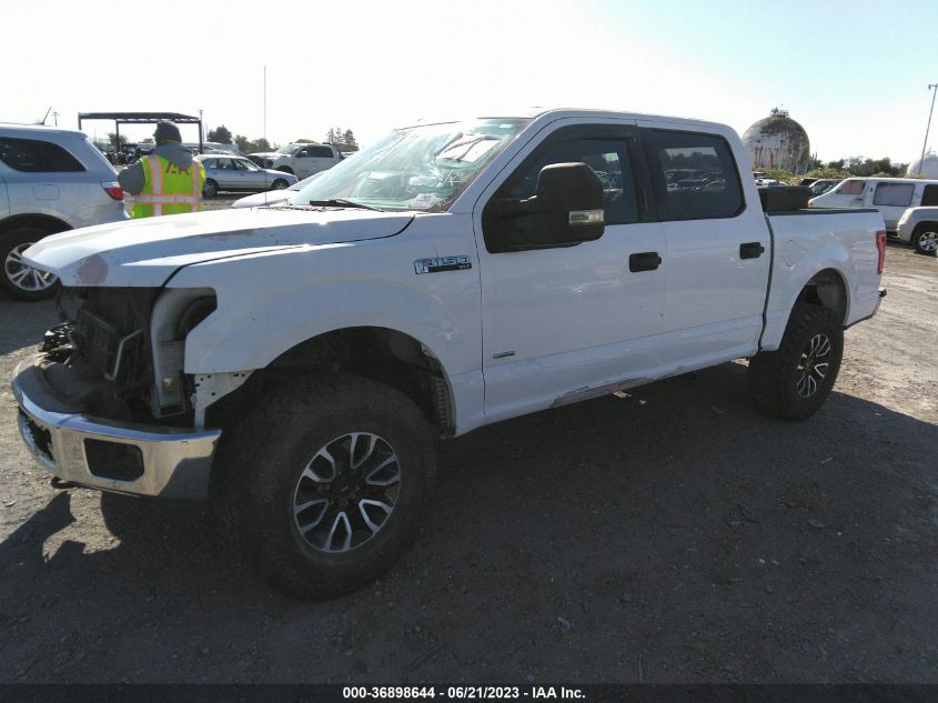 2017 FORD F-150 XL/XLT/LARIAT - 1FTEW1EG4HKD46309
