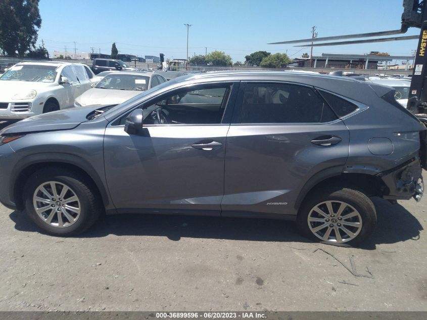2021 LEXUS NX NX 300H - JTJDJRDZ4M2167691
