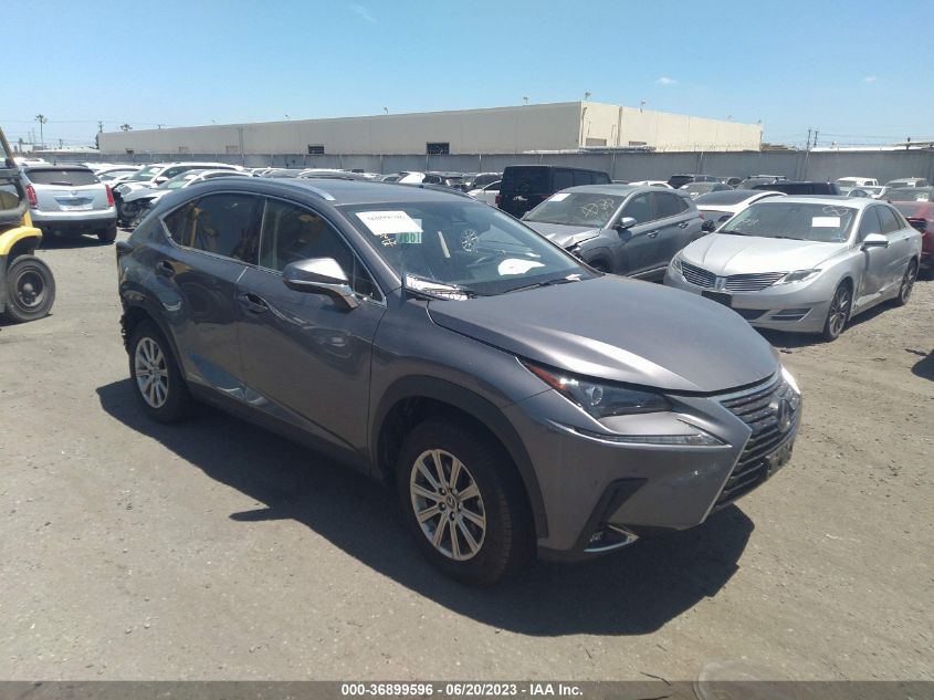 2021 LEXUS NX NX 300H - JTJDJRDZ4M2167691