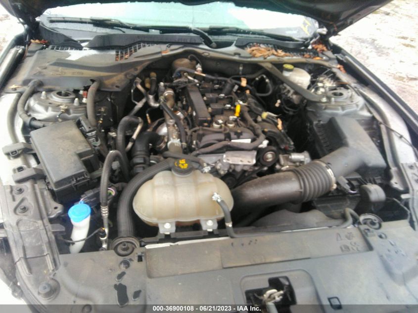 2021 FORD MUSTANG ECOBOOST - 1FATP8UH1M5105278