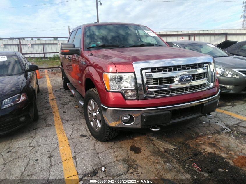 2014 FORD F-150 XL/XLT/FX4/LARIAT - 1FTFW1ET9EFB28355