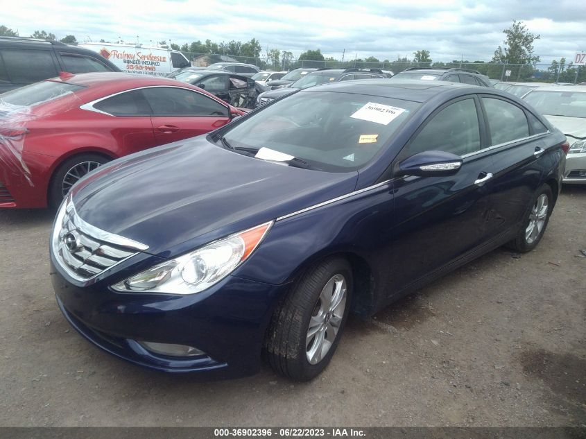 2013 HYUNDAI SONATA LIMITED - 5NPEC4AC4DH583310